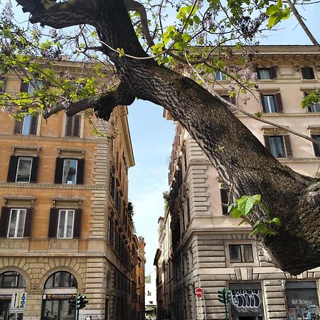 Vatican Near Sweet Home Terrace Рим Экстерьер фото